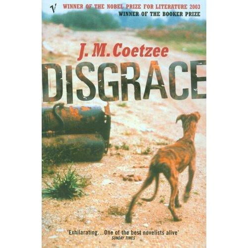 Disgrace - Amanda Johnson & Co. Textbooks