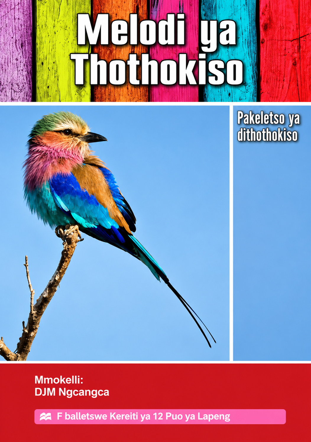 Melodi Ya Thothokiso (DJM Ngcangca)
