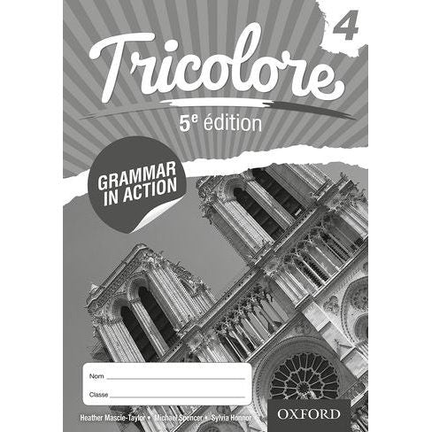 Tricolore Grammar in Action 4 Workbook  [FRENCH STUDENTS ONLY]